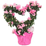 Heart-Shaped Azalea