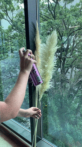 DIY process of Spray with hairspray again to make Pampas Grass