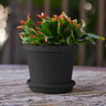 Bloem Terra Planter in Black