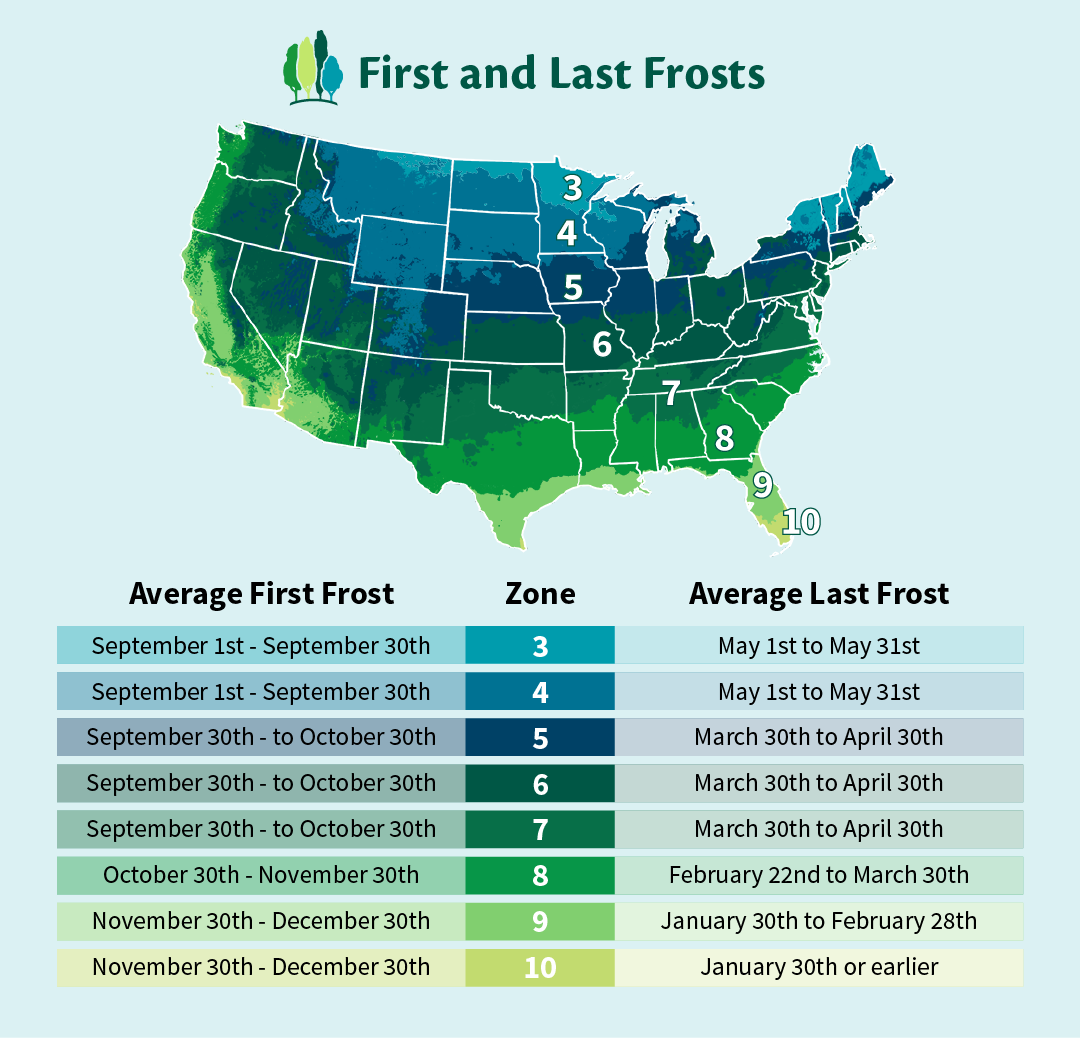 First And Last Frost Dates For 2024 Evita Talyah