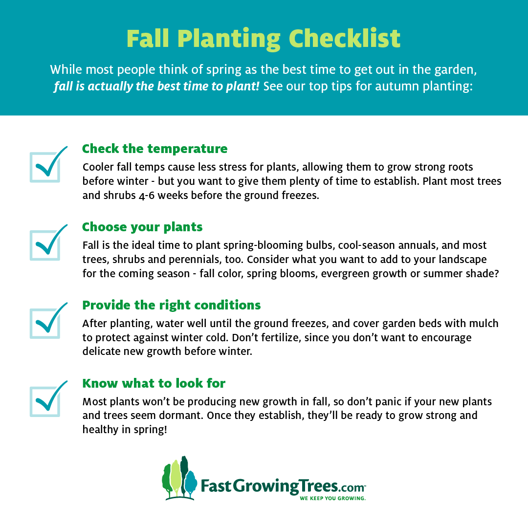 “Fall Planting Checklist for a successful autumn garden!