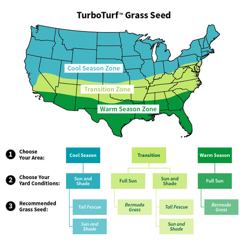 flow chart to find the right grass seed for your yard