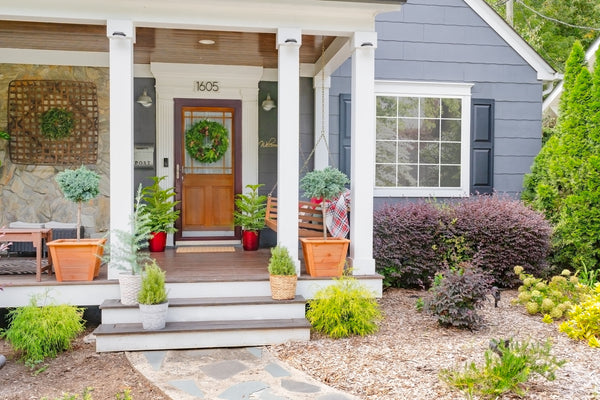 entryway plants