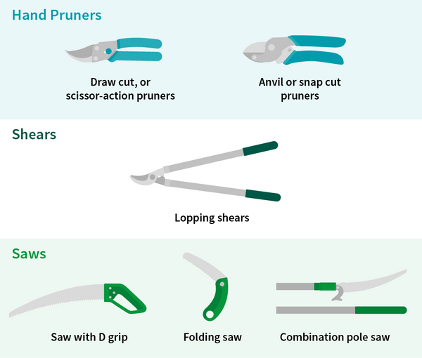 pruning tools