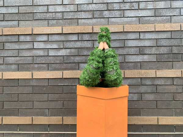 evergreen tree costume