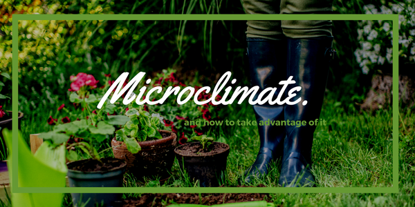 Microclimate