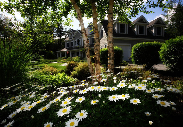 Garden Design