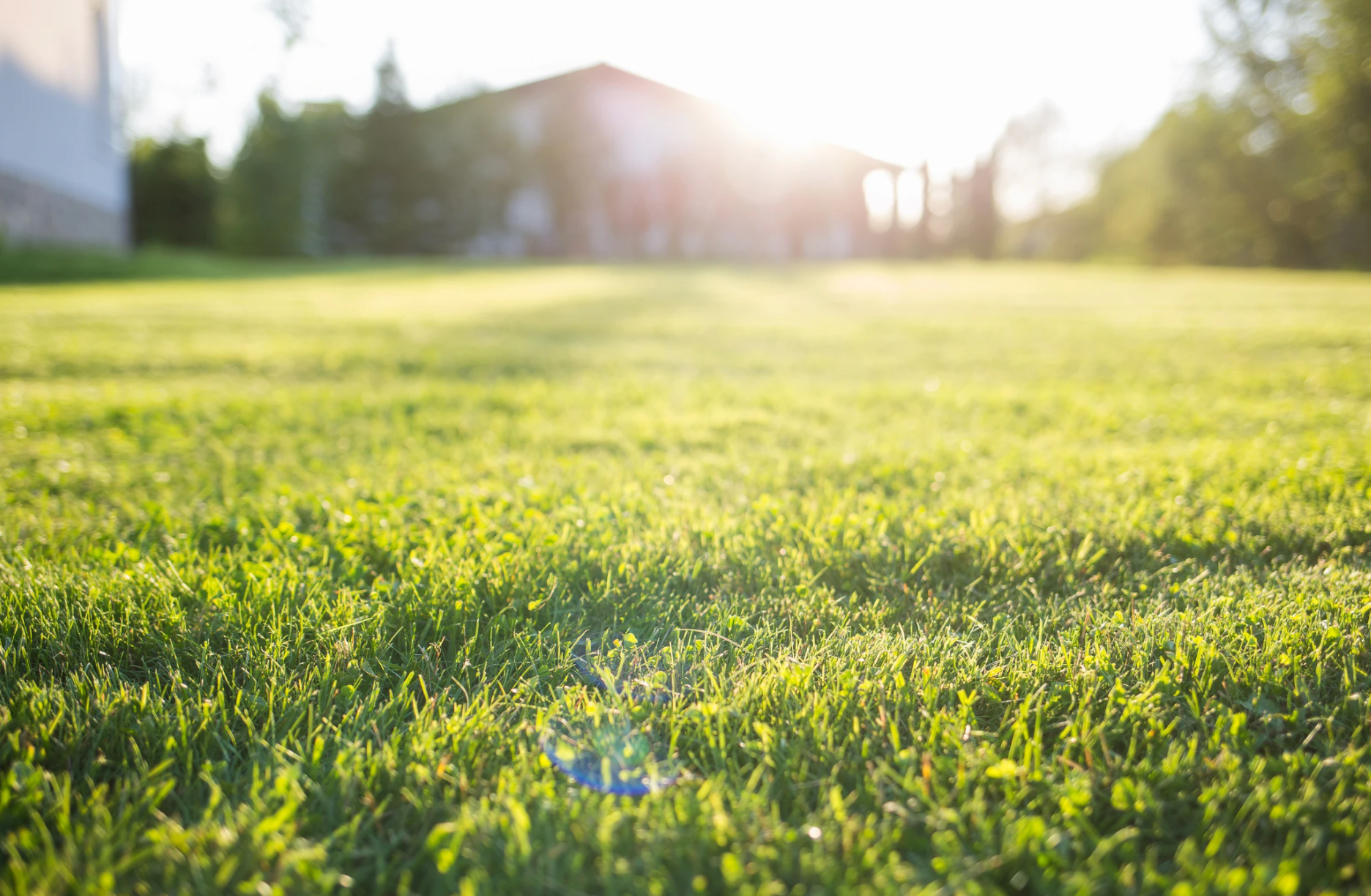 Fall Lawn Care