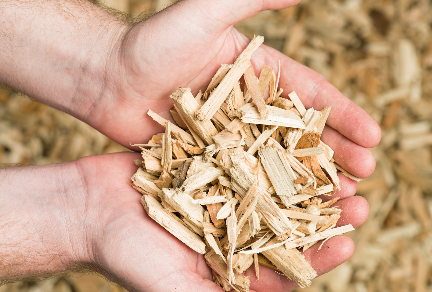 wood chips