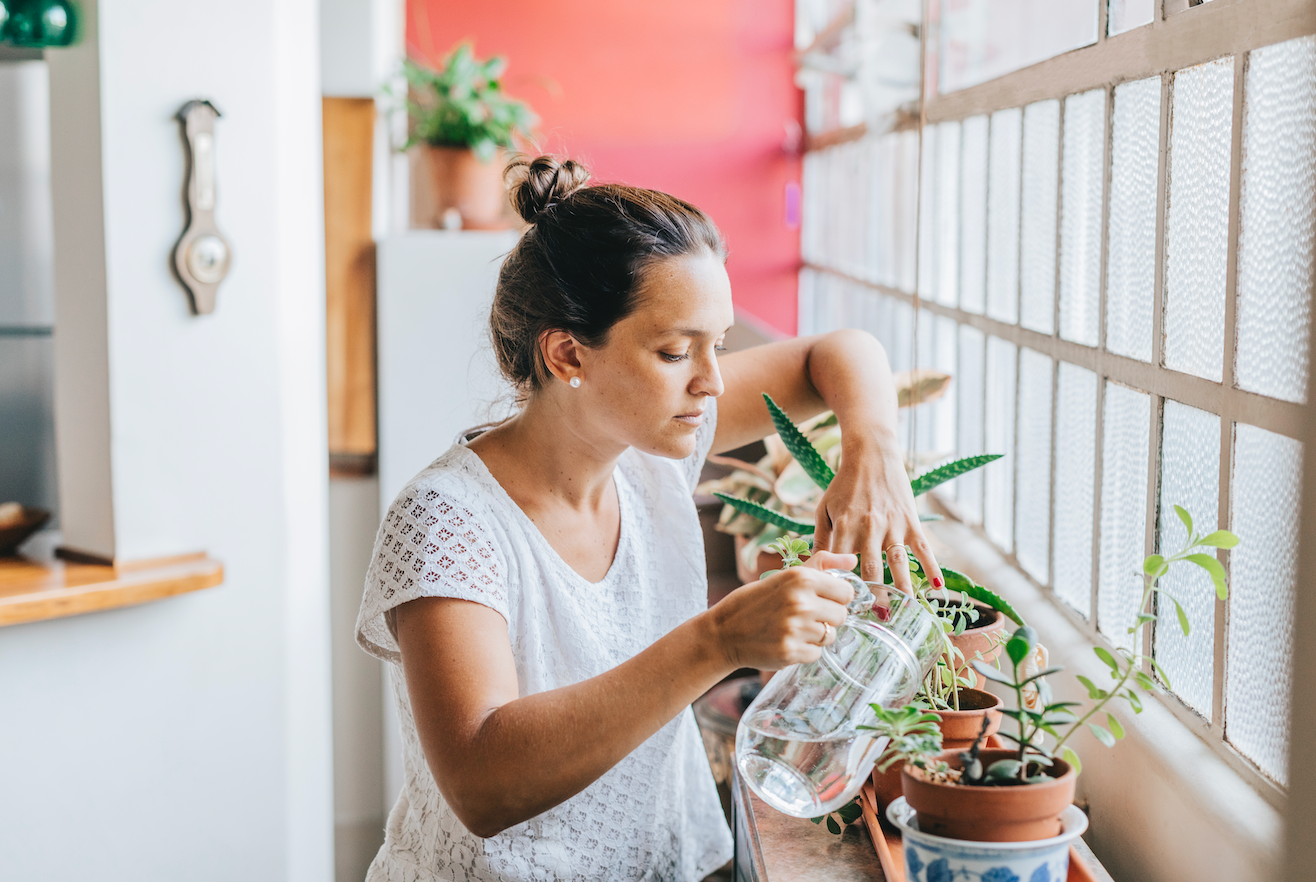 watering