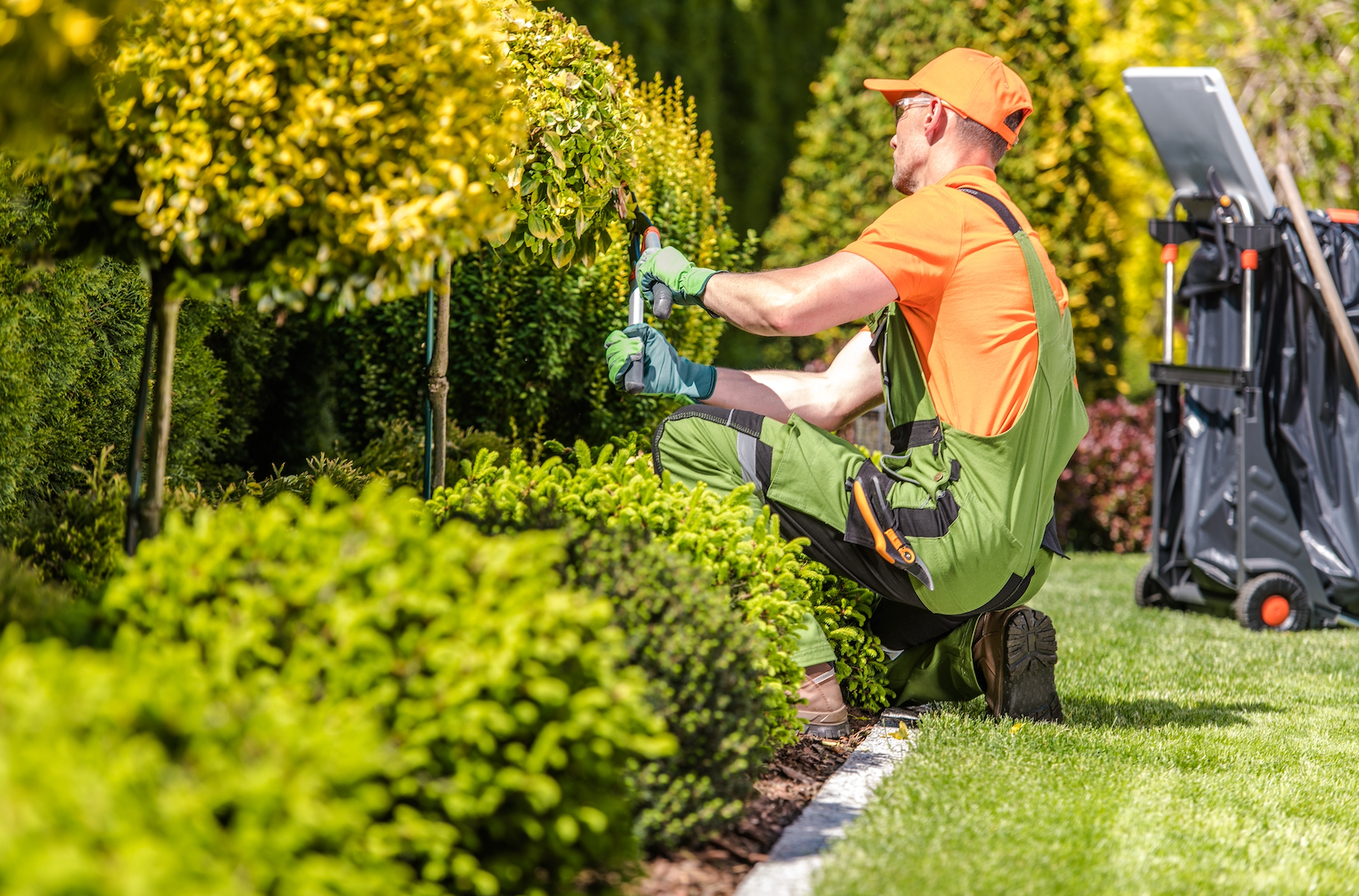 landscape maintenance