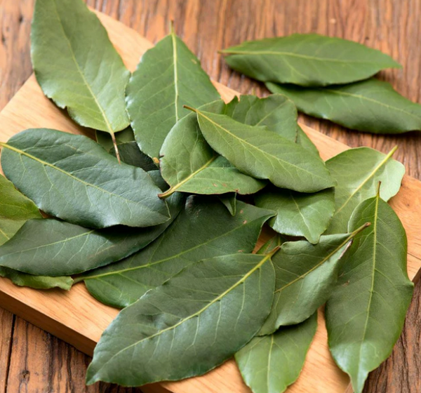 bay leaves