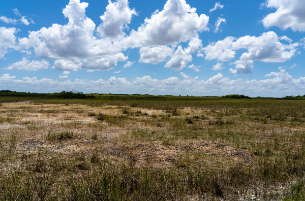 soil in Florida