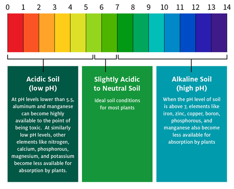 Soil pH scale chart showing acidic, neutral, and alkaline soil types