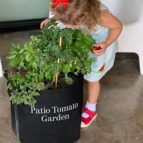 Child exploring a lush patio tomato garden in a container