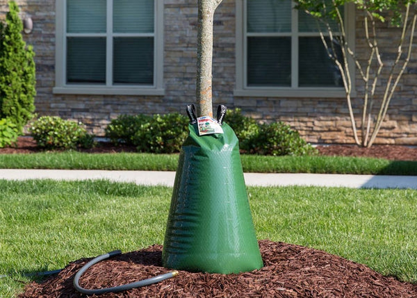 Tree Gator bag saving water in a well-maintained yard