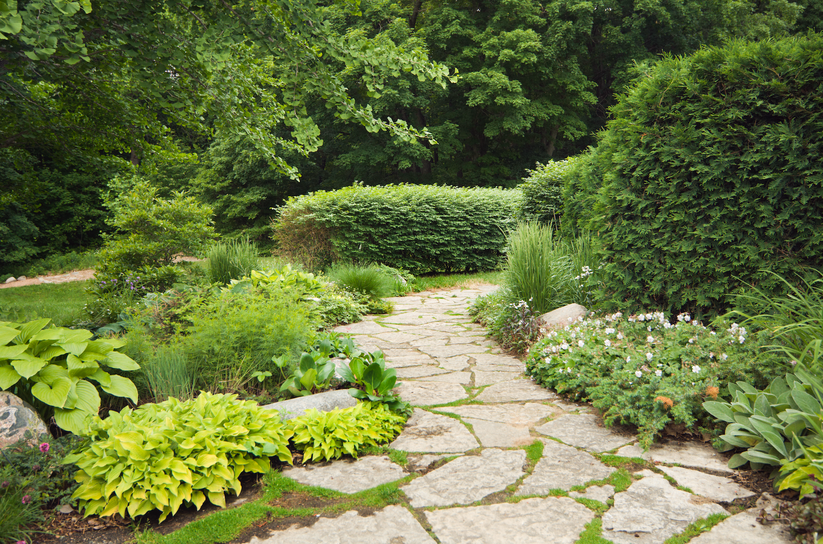 walkway in landscape