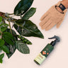 We the Wild Proud Plant Mum Leaf Care Kit