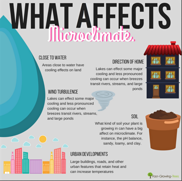 Microclimate