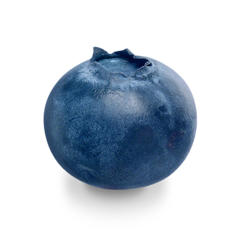 large blueberry