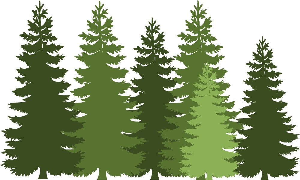 Evergreen & Privacy Trees