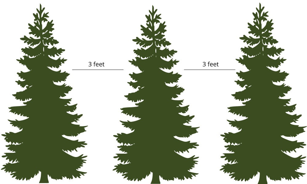 Evergreen & Privacy Trees