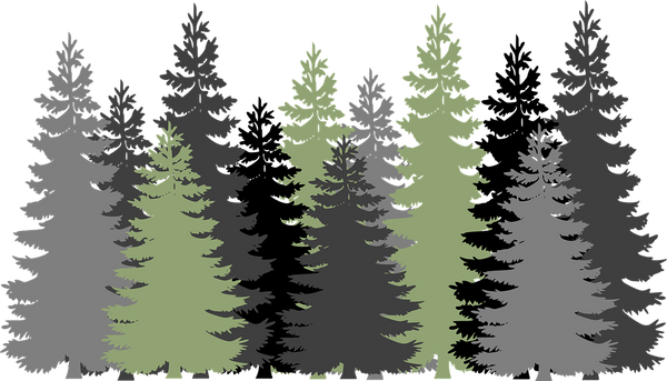 Evergreen Tree Height Chart