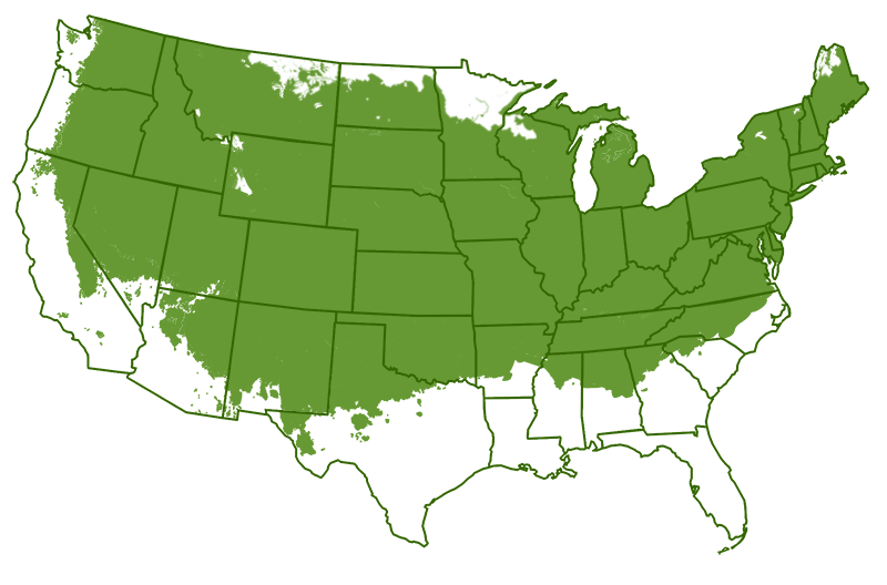 Blueberry growth regions