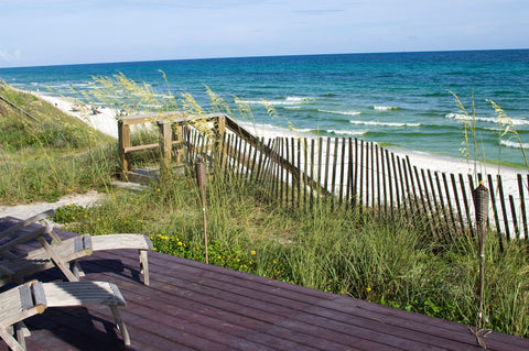 Beach view with salty soil, wooden fence, and greener