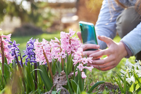 taking photos of plants