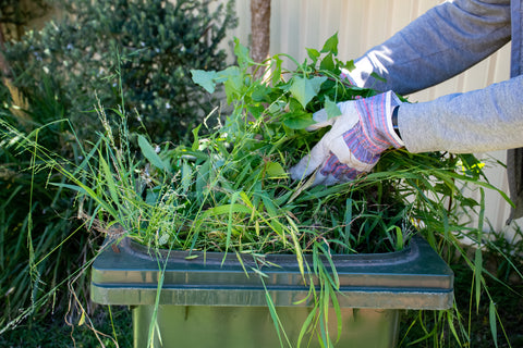 Person adding plant waste to compost bin in a garden.