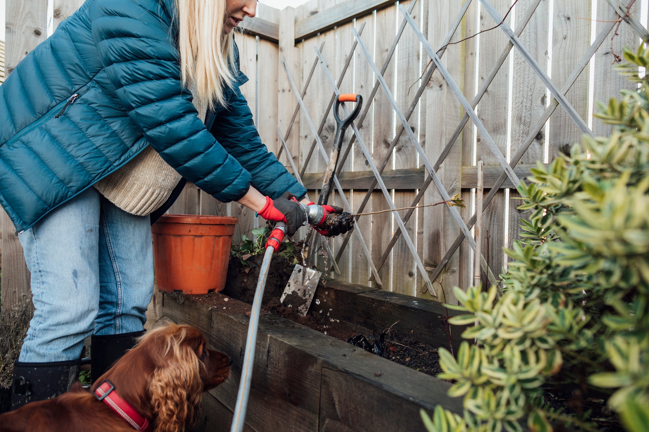 Ask a Master Gardener: Anticipating Spring