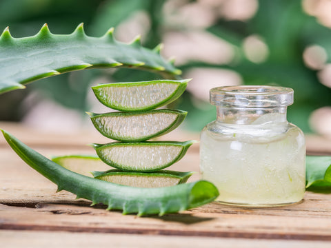 Aloe Vera Plant slices and gel in a small jar on a wooden surface