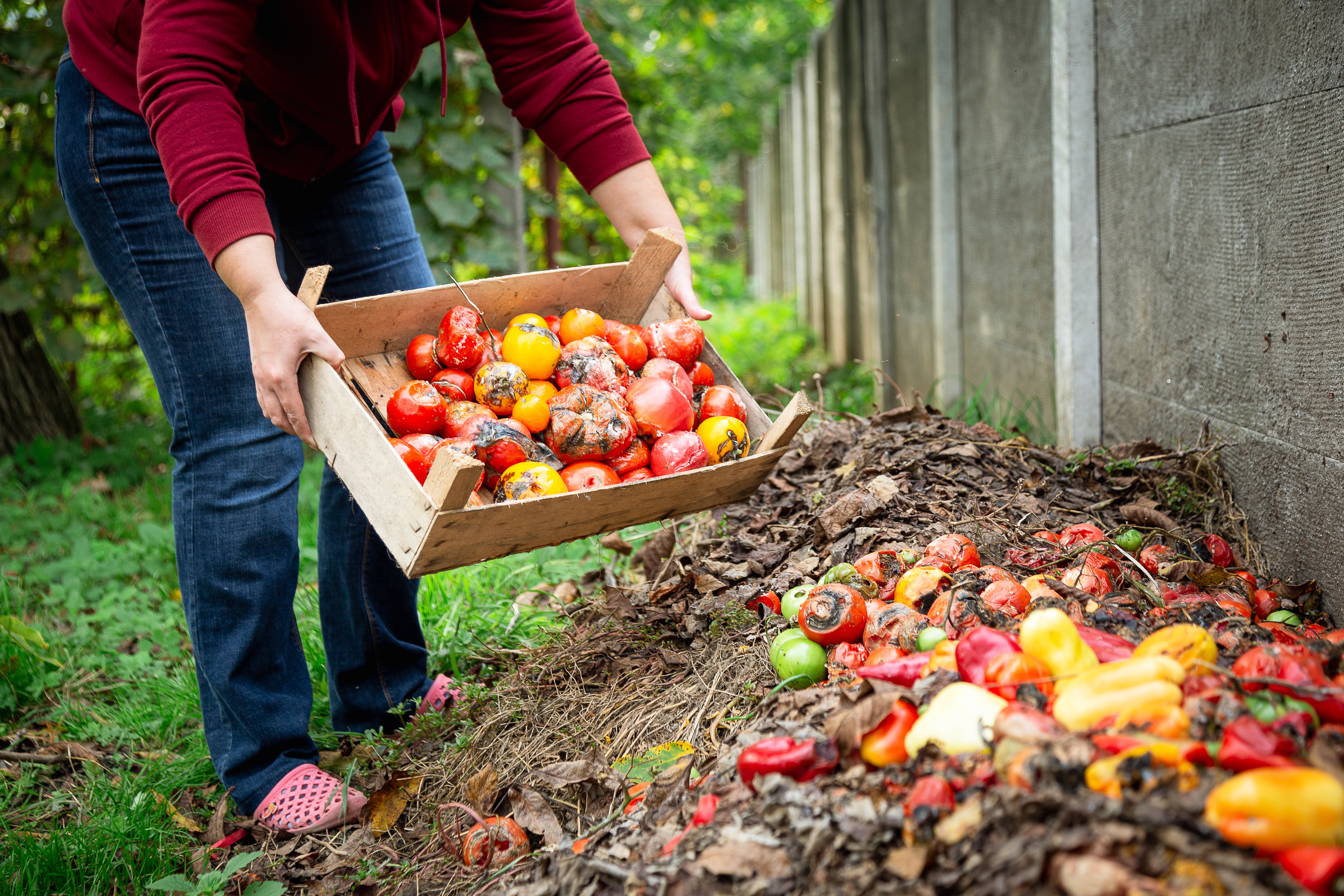 Compost