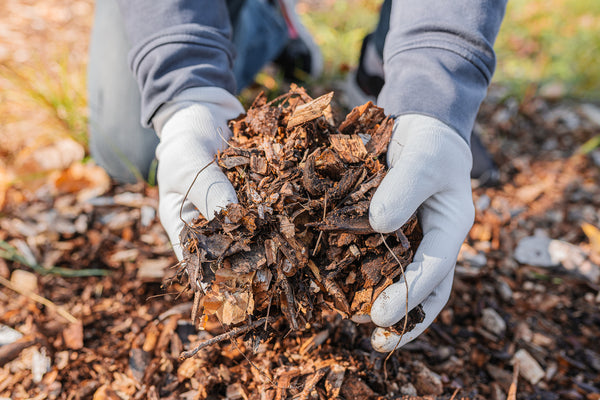 using leaves as mulch