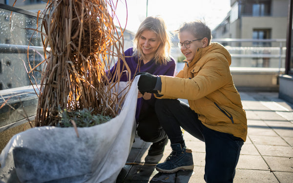 prepping plants for winter