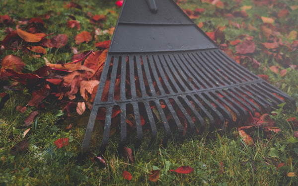 raking leaves