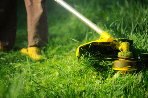 Person trimming grass, representing the practice of Companion planting