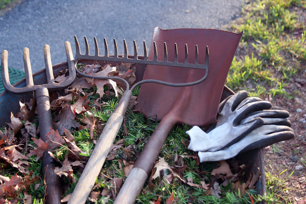 garden tools