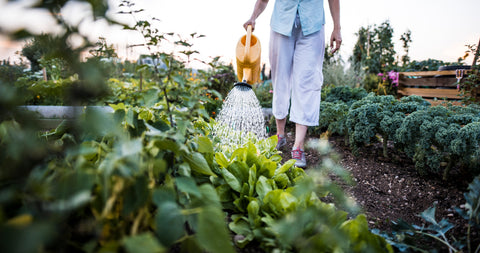 A girl watering diverse plants in garden at dusk with orange can