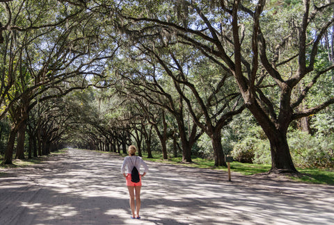 Girl walking under a canopy of Live Oak Trees on a sunny day