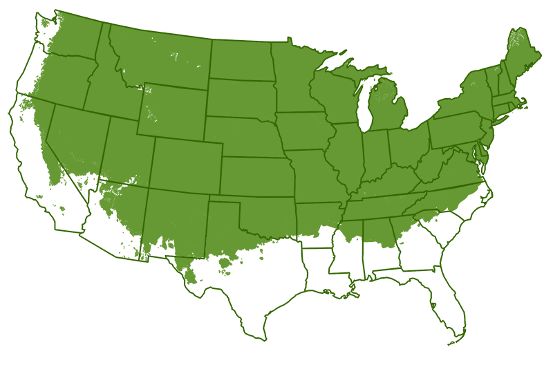 Lowbush Blueberry growth regions