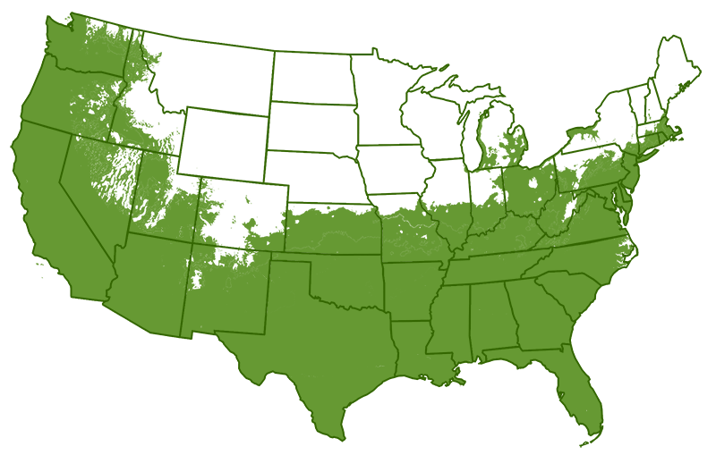 Rabbit eye Blueberry growth region