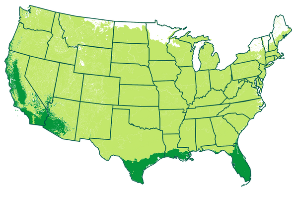 
    
      4-11 patio
    
     / 
    
      9-11 outdoors
    
   Map