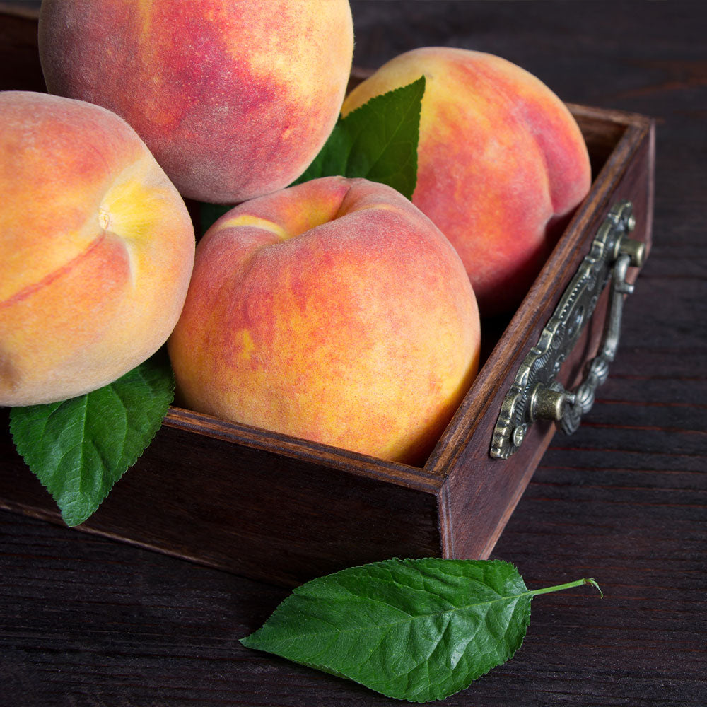 Peach Tree Seeds Sweet Peaches Peach Heirloom Organic - TonySeeds