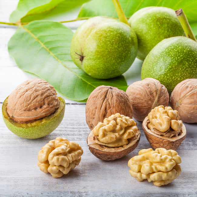 walnuts tree