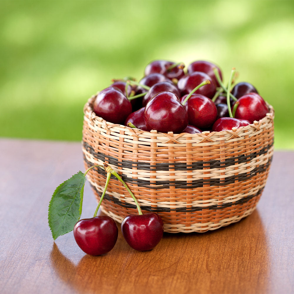 Royal Ann Cherry Trees for Sale