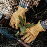 Barebones Classic Work Gloves