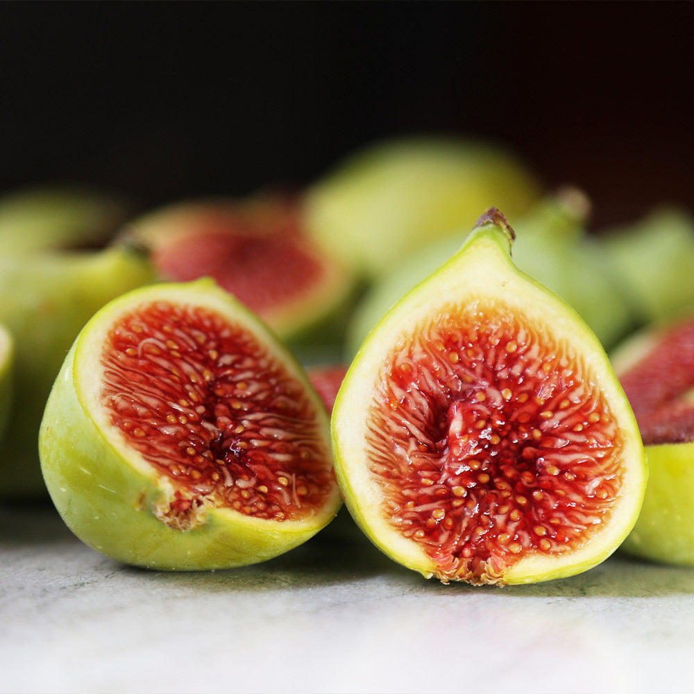 Fig Trees: Everything You Ever Wanted to Know – FastGrowingTrees.com