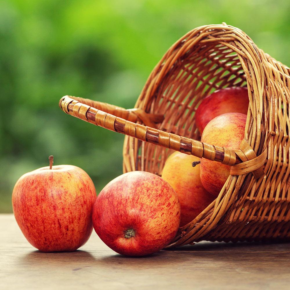 Ship a Bushel of Organic Apples